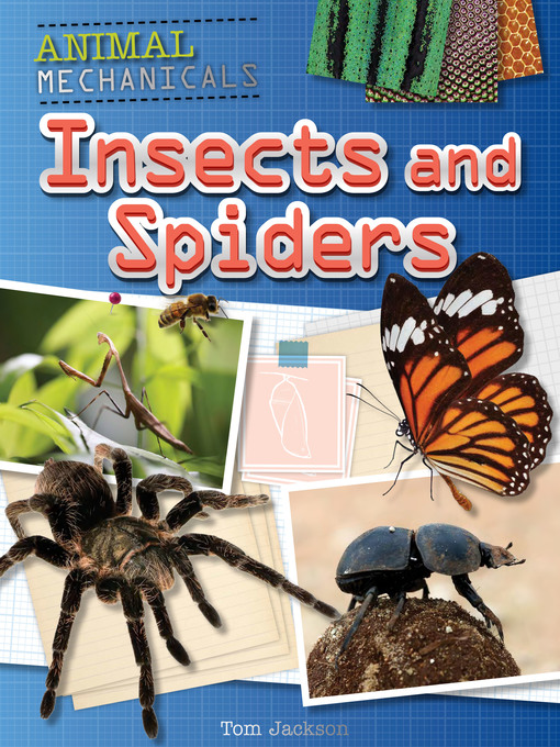 Title details for Insects and Spiders by Tom Jackson - Wait list
